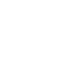 AQnailong's emblem