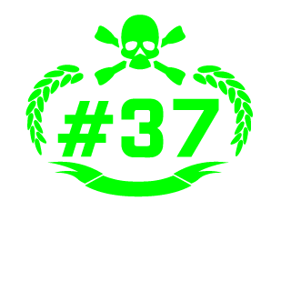 Kronic_37's emblem