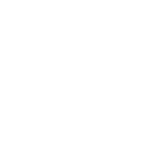 C1289H2051N's emblem