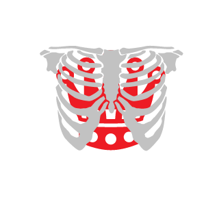gagan581's emblem