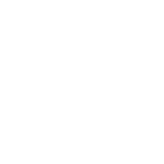 2BM60's emblem