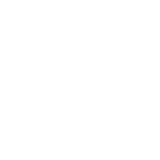 Gusten11's emblem