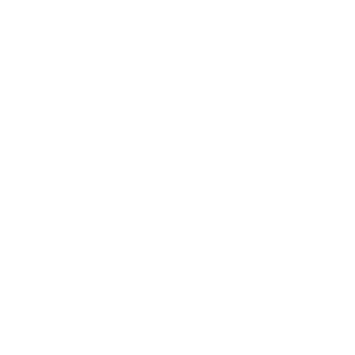 CapitaoQueiroz's emblem