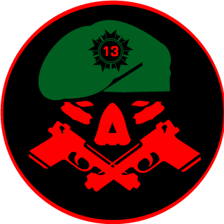 zico13-'s emblem