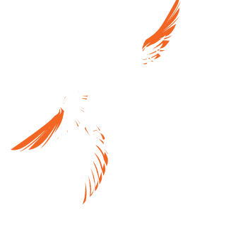 RaVen eSports's emblem