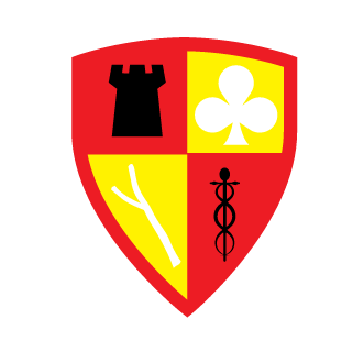 PyRo Hurricane's emblem