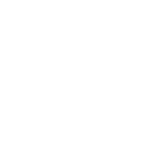 PriZrakExe's emblem