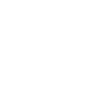 y-r-a-n-199x's emblem
