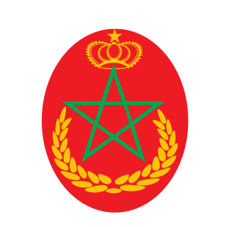 radwansnoussi22's emblem