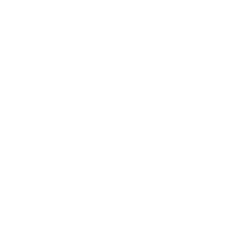 1iQ-Ajer's emblem
