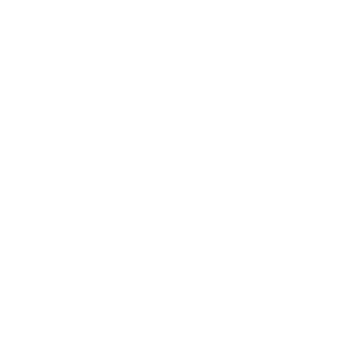 51kombrigRUS's emblem