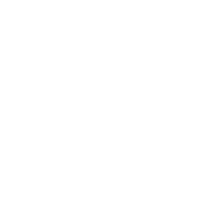 FireKing90091's emblem
