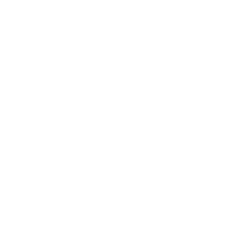 TheNeverman's emblem