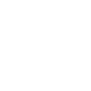 PiEo0o's emblem