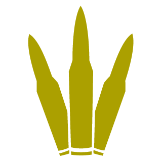 SilentShadeNZ's emblem