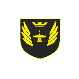TheChaos00's emblem