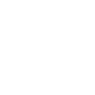 DualThink's emblem