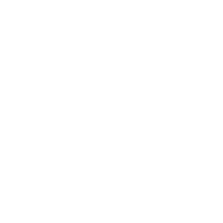 torrigreen_'s emblem
