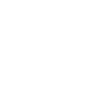 LiLfLiP_Br's emblem