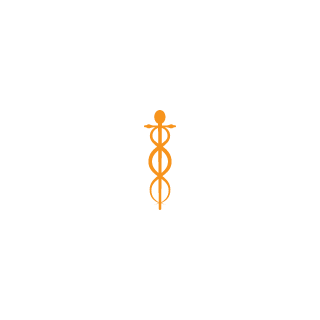 HansBlixx's emblem