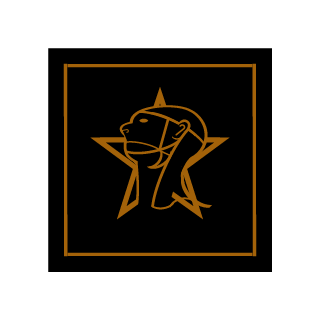 ToxicBrown1998's emblem