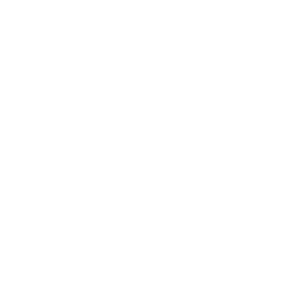 Capt_Slamtastic's emblem