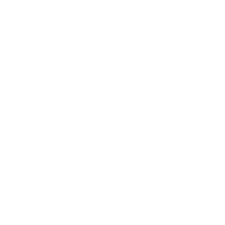auDio II's emblem