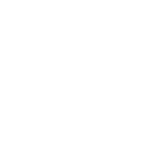 Zyc-Deluxe's emblem