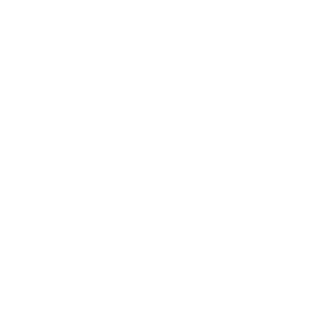 BaraIIINk's emblem