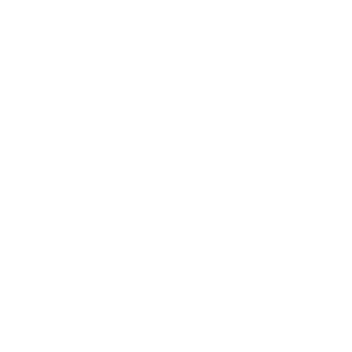 Bisyoujyo's emblem