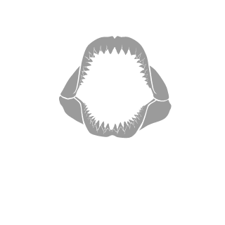0_Asik_0's emblem