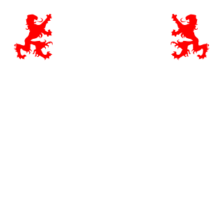 VICDONSIZ's emblem
