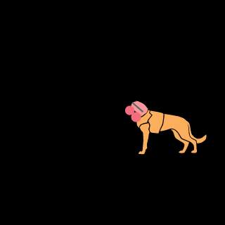 koolkidkyle100's emblem