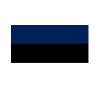1337N1ghTM4rE's emblem