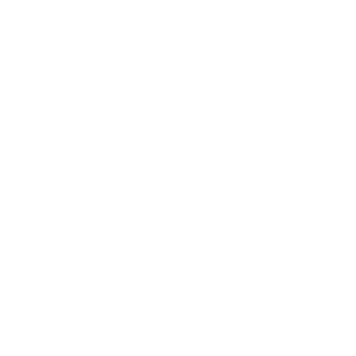 lula_ntl's emblem