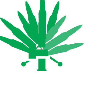BadPlayar's emblem