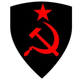 virtualcycle's emblem
