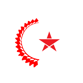 TurkishPilot1's emblem