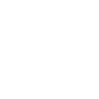 FRAGM1NTS's emblem