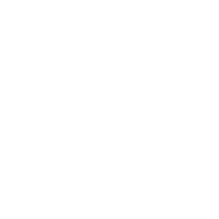 IVX_Amir76's emblem