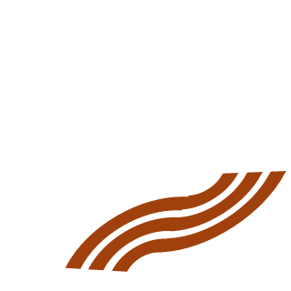 LedZep43's emblem