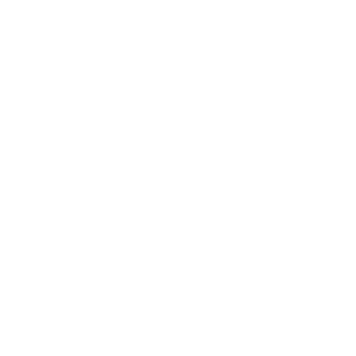 Bolsoch4n's emblem