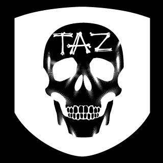 The Azylum's emblem