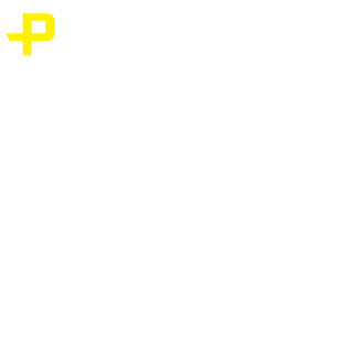Nanscer's emblem