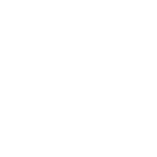 SweeTooth8's emblem