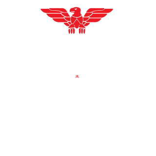 hannesthewall's emblem