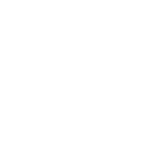 13San's emblem
