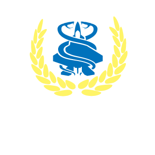 CaptainXROY's emblem