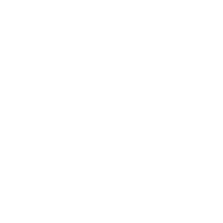wesleyxxx3's emblem