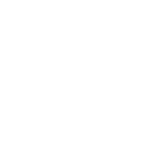 44TFlixster's emblem